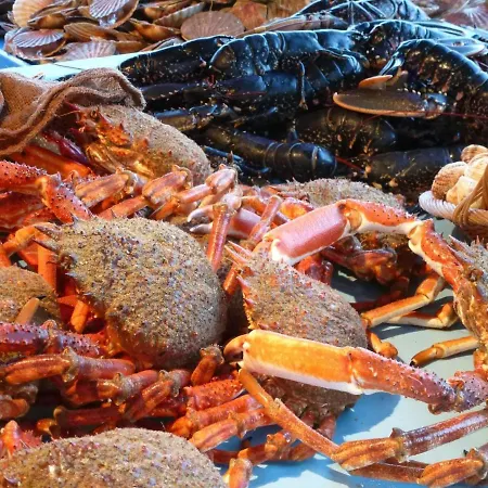 In Near Cap Fagnet Cliffs Holiday home